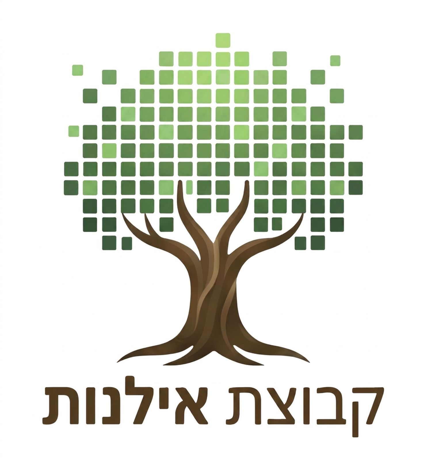 אילנות פלייס - קבוצת אילנות