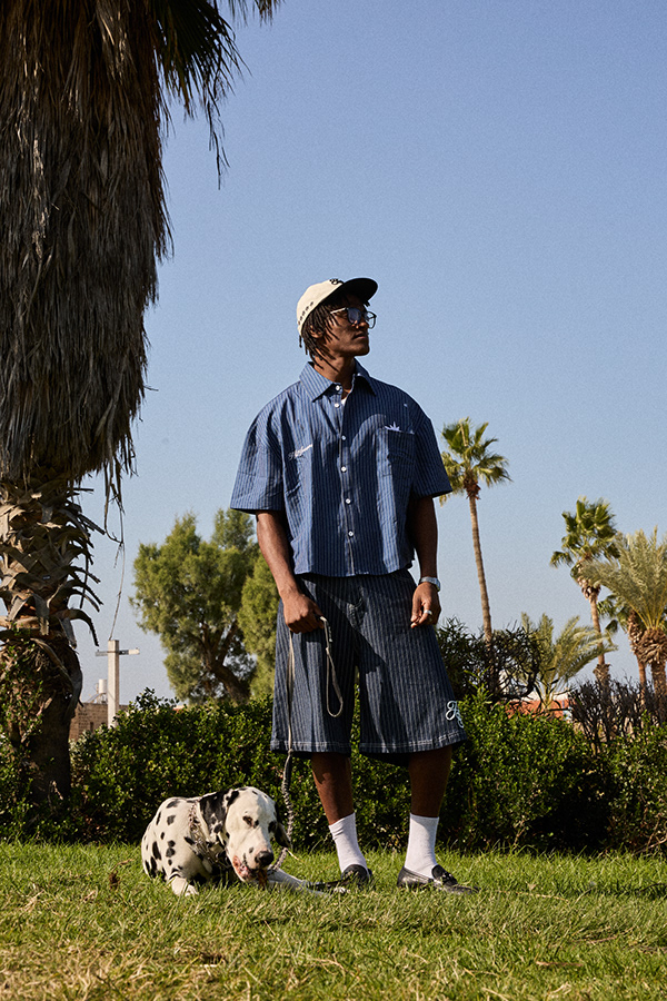 Campaigns & Lookbooks 297