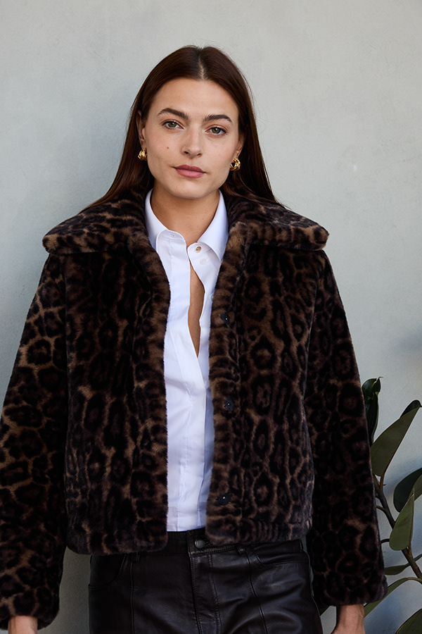 Campaigns & Lookbooks 247